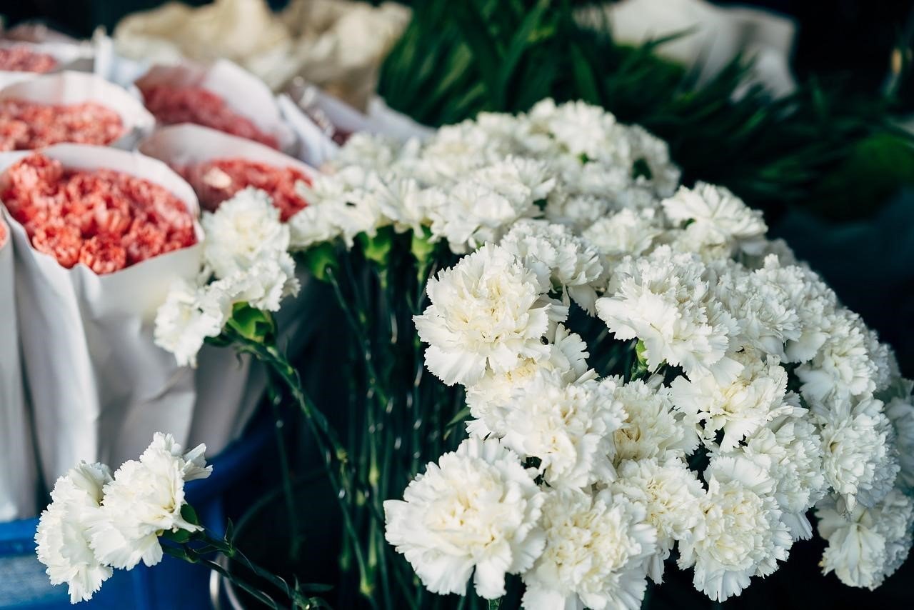 تجارة الزهور في السعودية, the flower trade in Saudi Arabia